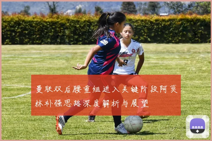 曼联双后腰重组进入关键阶段阿莫林补强思路深度解析与展望